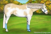 Horse Color:Silver Classic Champagne Dun Splash Frame 