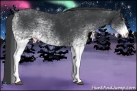 Horse Color:White Spotted Black