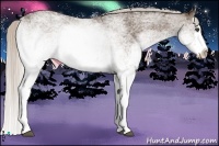 Horse Color:White Spotted Silver Black Splash