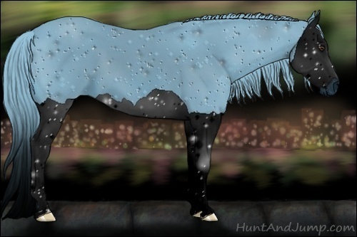 Horse Color:ERROR: UNKNOWN ANOMALY