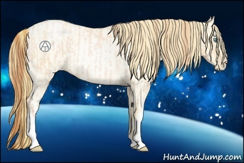 Horse Color:Buckskin Roan Pearl and Buckskin Roan Pearl Dun