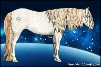 Horse Color:Buckskin Roan Pearl  and Buckskin Roan Pearl Dun 