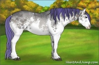 Horse Color:Painted Blue Onyx Ice Roan Splash Rabicano