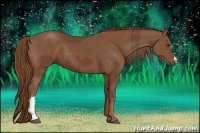 Horse Color:Chestnut  and Chestnut 
