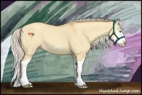 Horse Color:Silver Classic Champagne Dun Splash Frame 