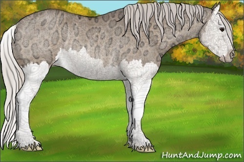 Horse Color:Silver Bay Ice Dun Splash Rabicano