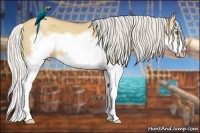 Horse Color:Silver Classic Champagne Dun Splash Frame 