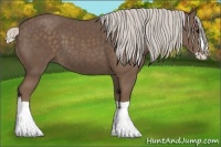 Horse Color:Silver Black Splash