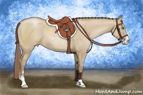 Horse Color:Grullo Pearl Sabino