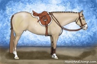 Horse Color:Grullo Pearl Sabino