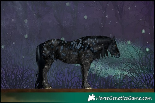 Horse Color:ERROR: UNKNOWN ANOMALY and ERROR: UNKNOWN ANOMALY