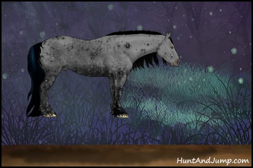 Horse Color:ERROR: UNKNOWN ANOMALY and ERROR: UNKNOWN ANOMALY