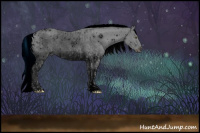 Horse Color:ERROR: UNKNOWN ANOMALY and ERROR: UNKNOWN ANOMALY