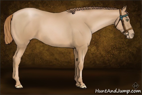 Horse Color:Chestnut Pearl Frame 