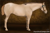 Horse Color:Chestnut Pearl Frame