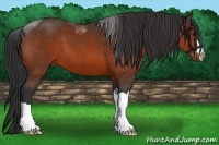 Horse Color:Brown 