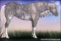 Horse Color:Watercolor Gold Cream Champagne Ice Onyx 