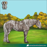 Horse Color:Black Frame  and Silver Black 