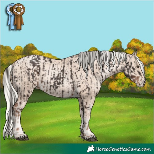 Horse Color:Liver Chestnut  and Gold Cream Champagne Pearl 