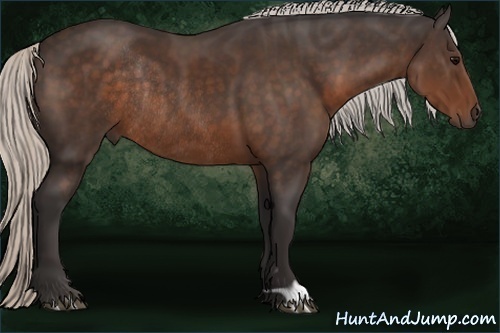 Horse Color:Silver Brown Rabicano 