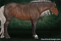 Horse Color:Silver Brown Rabicano 