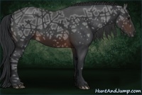 Horse Color:Brown Ice Sabino Rabicano 