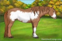 Horse Color:Chestnut Frame 
