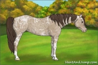 Horse Color:Classic Champagne Ice 