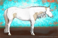 Horse Color:Grullo Pearl Splash Tobiano