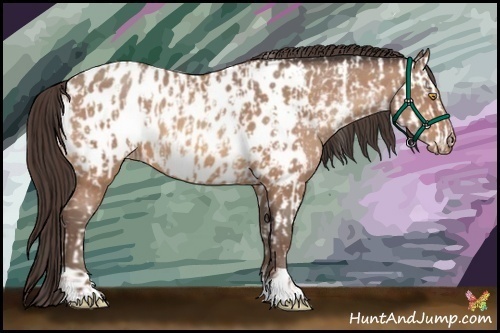 Horse Color:Amber Champagne Near Leopard and Amber Champagne Blanket
