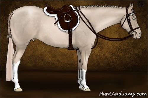 Horse Color:Chocolate Palomino Pearl 