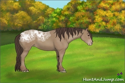 Horse Color:Classic Champagne Ice 