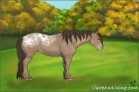 Horse Color:Classic Champagne Ice 