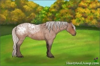 Horse Color:Silver Bay Ice Roan 
