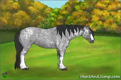 Horse Color:Blue Ice Roan