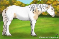 Horse Color:Silver Sable Champagne Dun Splash Tobiano Frame Rabicano