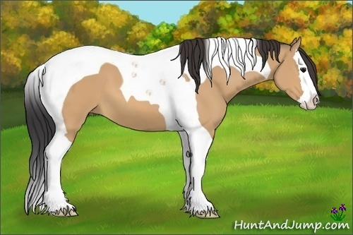 Horse Color:Bay Dun Splash Tobiano 