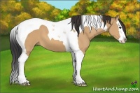 Horse Color:Bay Dun Splash Tobiano