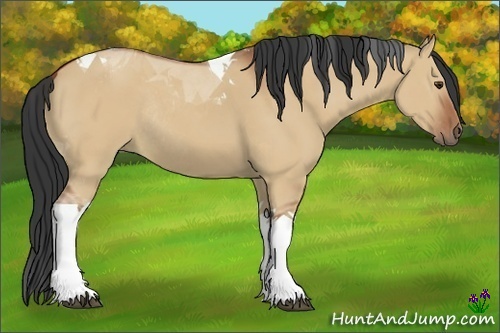 Horse Color:Bay Dun Tobiano Rabicano 