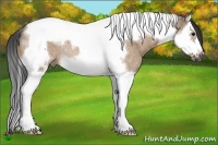 Horse Color:Bay Roan Dun Splash Tobiano Frame Rabicano