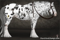 Horse Color:Liver Chestnut Blanket