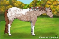 Horse Color:Chestnut Ice Tobiano 