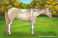 Horse Color:Red Dun Ice Tobiano