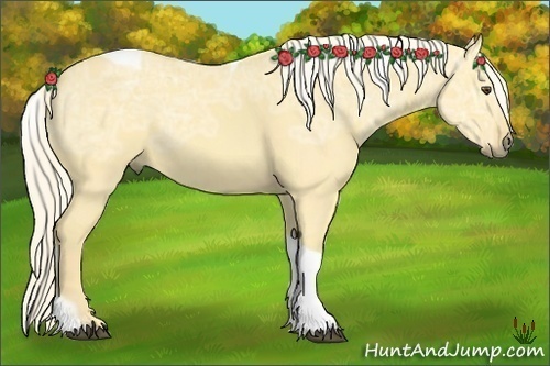 Horse Color:Palomino Ice Dun Tobiano 