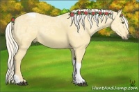 Horse Color:Palomino Ice Dun Tobiano 