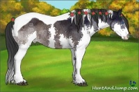 Horse Color:Brown Ice Splash Tobiano 