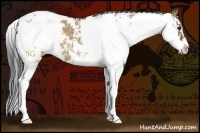 Horse Color:Brown Dun Sabino Blanket 