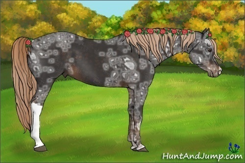 Horse Color:Liver Chestnut Ice 