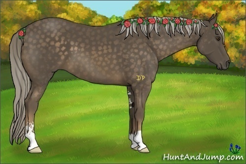 Horse Color:Chocolate Palomino Sabino 