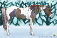 Horse Color:Nacre Liver Chestnut Sabino Tobiano Varnish